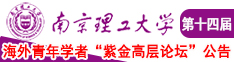 草bi嗯嗯嗯嗯嗯在线观看南京理工大学第十四届海外青年学者紫金论坛诚邀海内外英才！